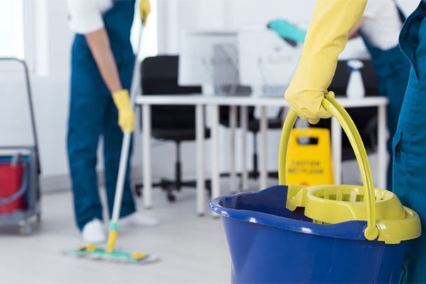 Selimint | Nuestros servicios